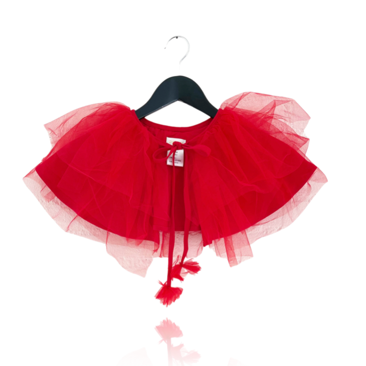 Red tulle skirt on a hanger against a white background