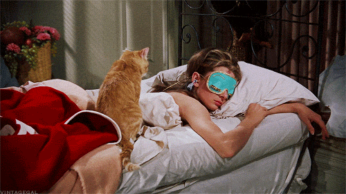 DOLLY GOLIGHTLY Breakfast @ Tiffany's ginger 'CAT' plush toy collectible