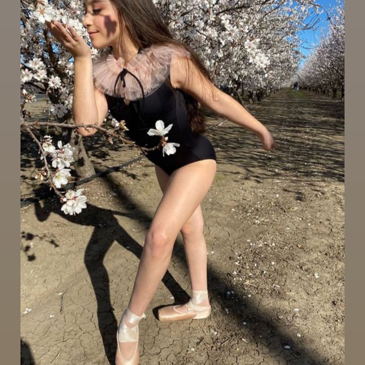 Spring is coming! Beautiful blossom...