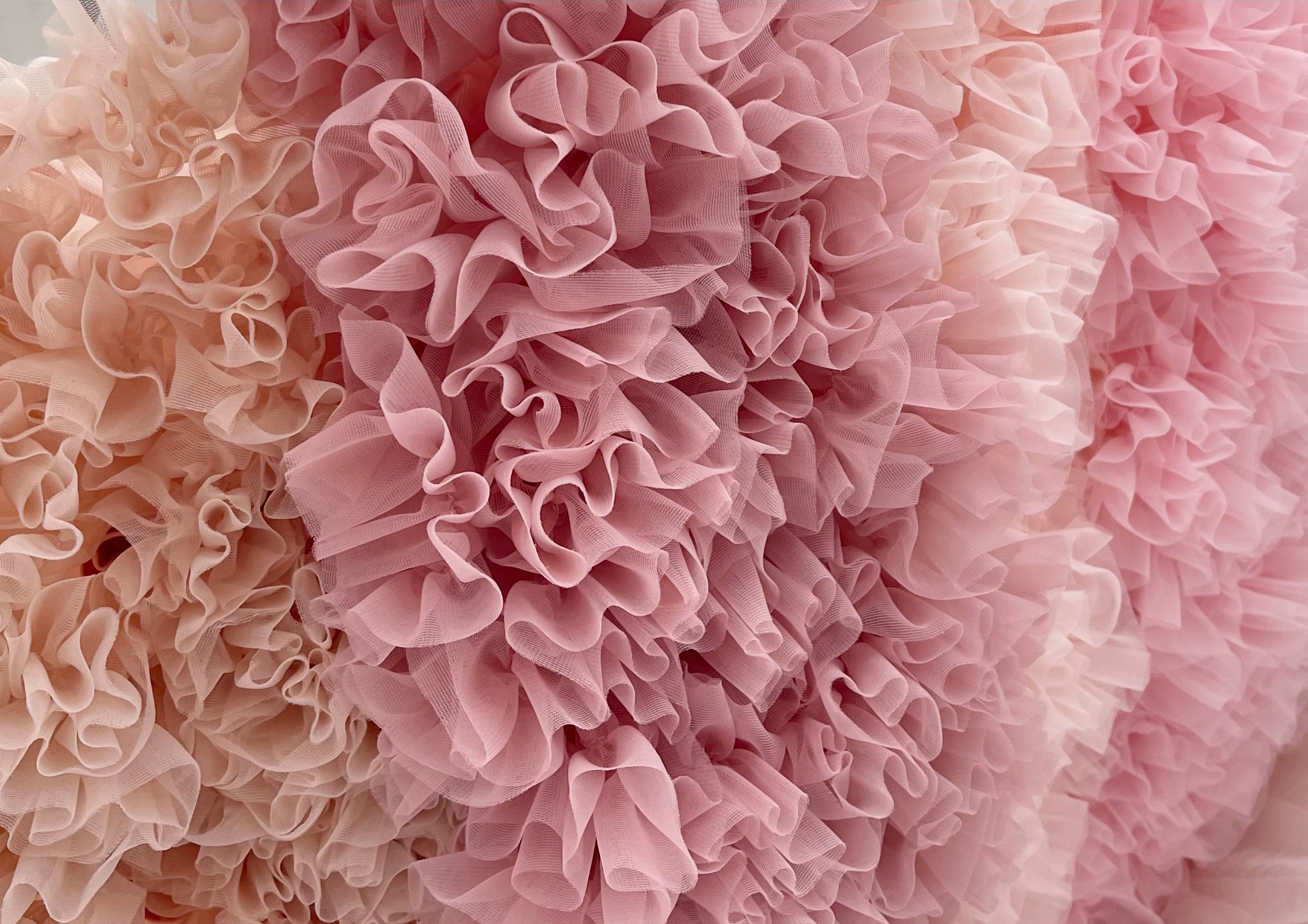 THE CHIFFON SHOP