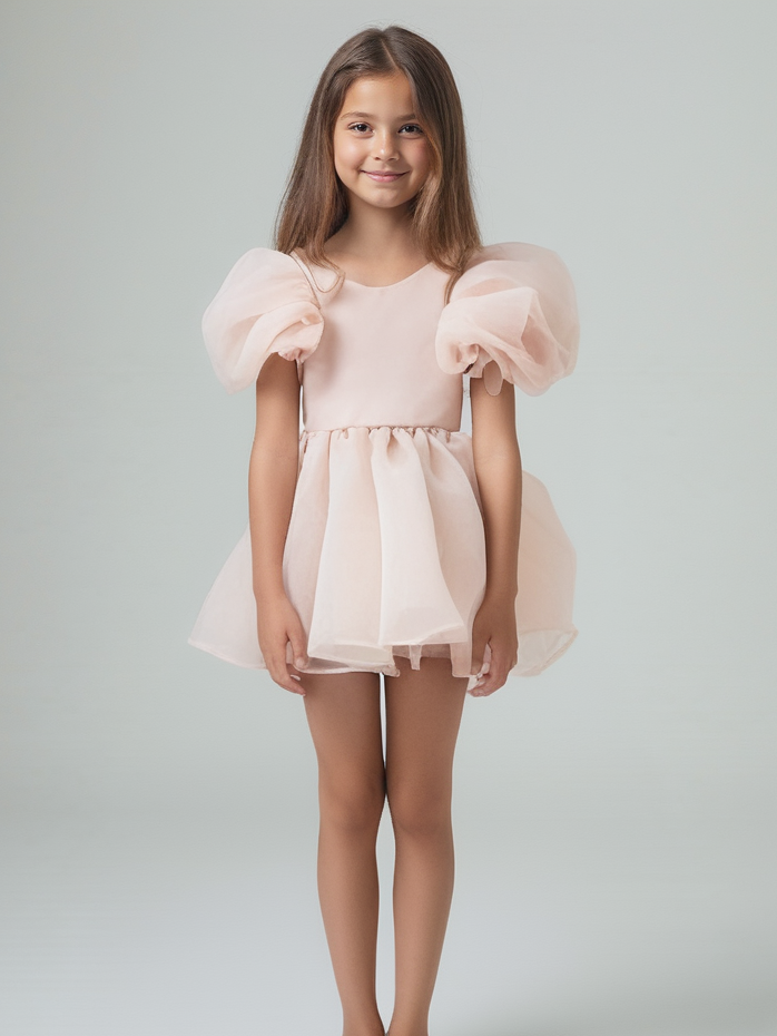 DOLLY V-BACK PUFF SLEEVE ORGANZA TUTU DRESS ballet slipper pink