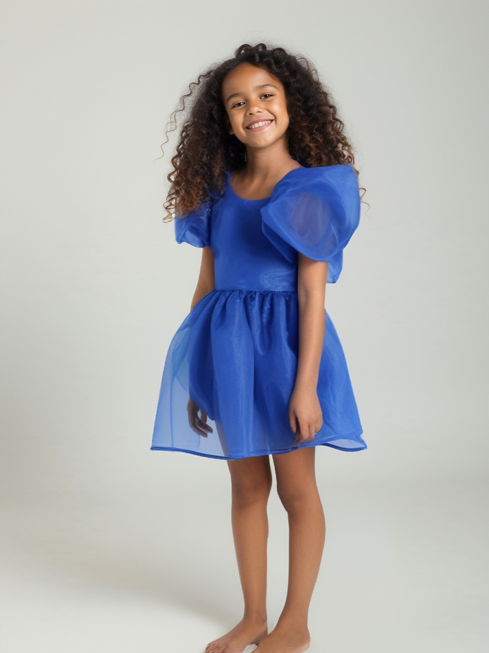 DOLLY V-BACK PUFF SLEEVE ORGANZA TUTU DRESS royal blue