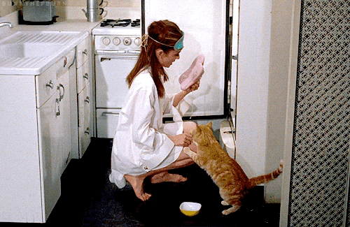 DOLLY GOLIGHTLY Desayuno @ Tiffany's jengibre 'CAT' peluche coleccionable
