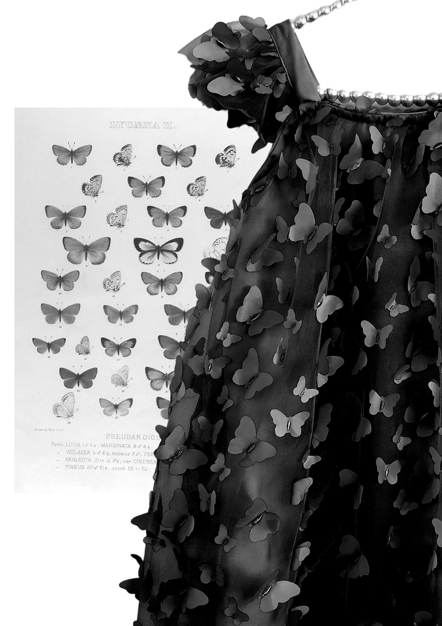 DOLLY by Le Petit Tom ® ALLOVER BUTTERFLIES TUTU DRESS black