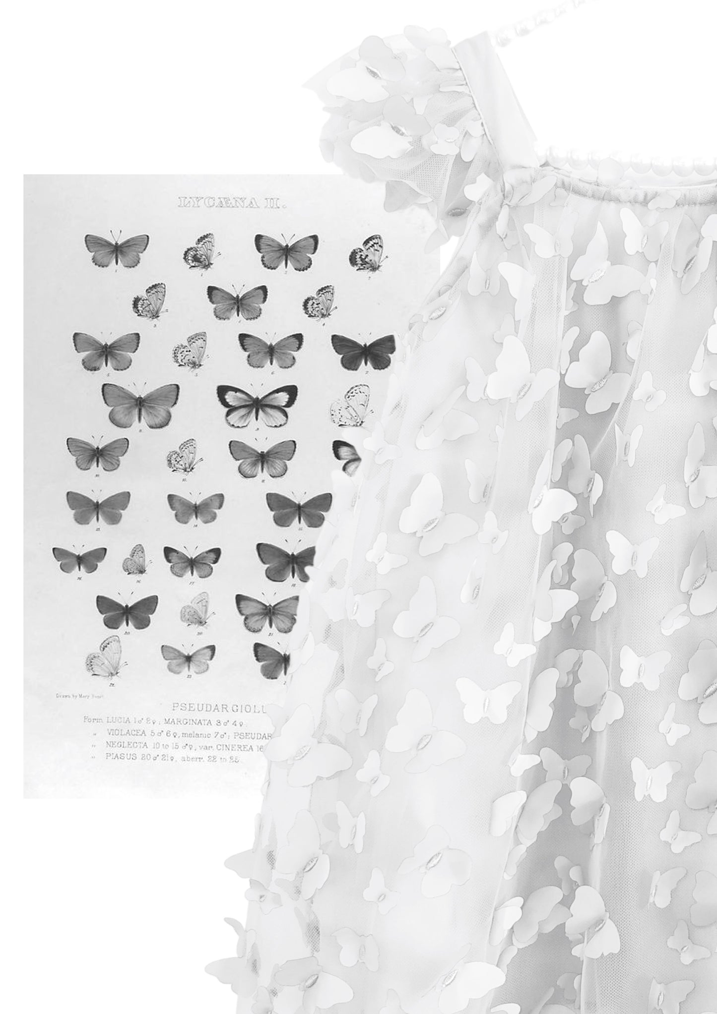 VESTIDO DE TUTÚ CON MARIPOSAS DOLLY by Le Petit Tom ® blanco