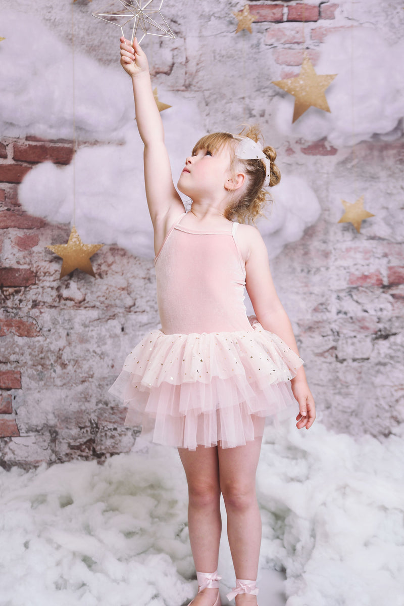 DOLLY® VELVET LEOTARD TUTU DRESS WITH STARS & MOON ⭐️ 🌙 TULLE ballet pink