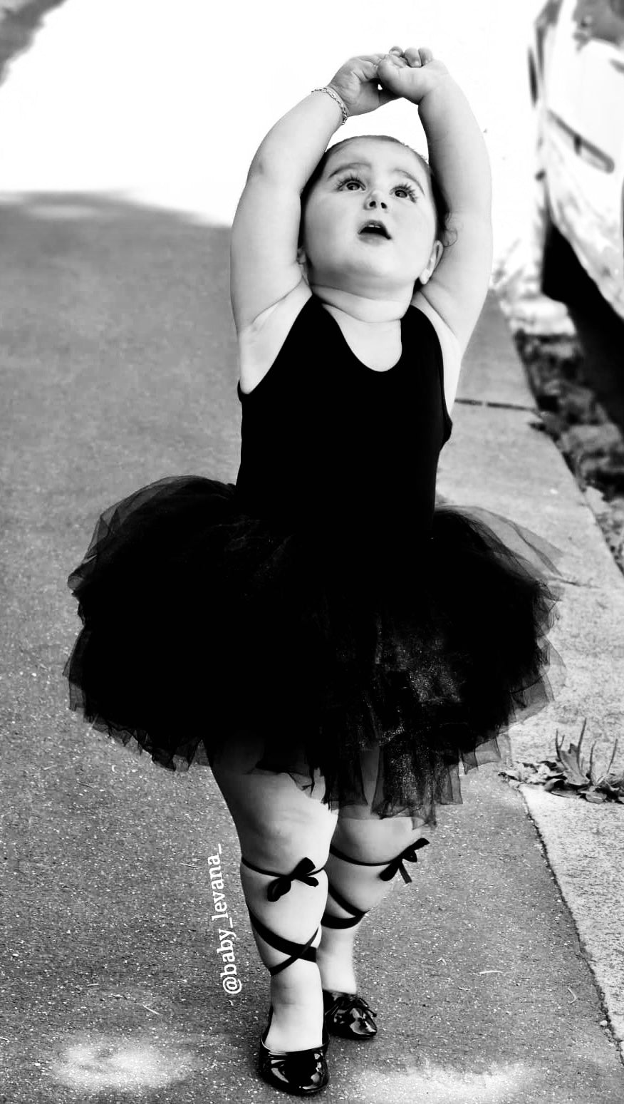 DOLLY by Le Petit Tom ® BAILARINAS CLÁSICAS CON LAZOS NEGRO