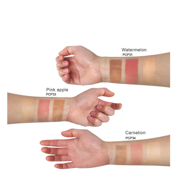 DOLLY Pro Cheek Palette - Carnation