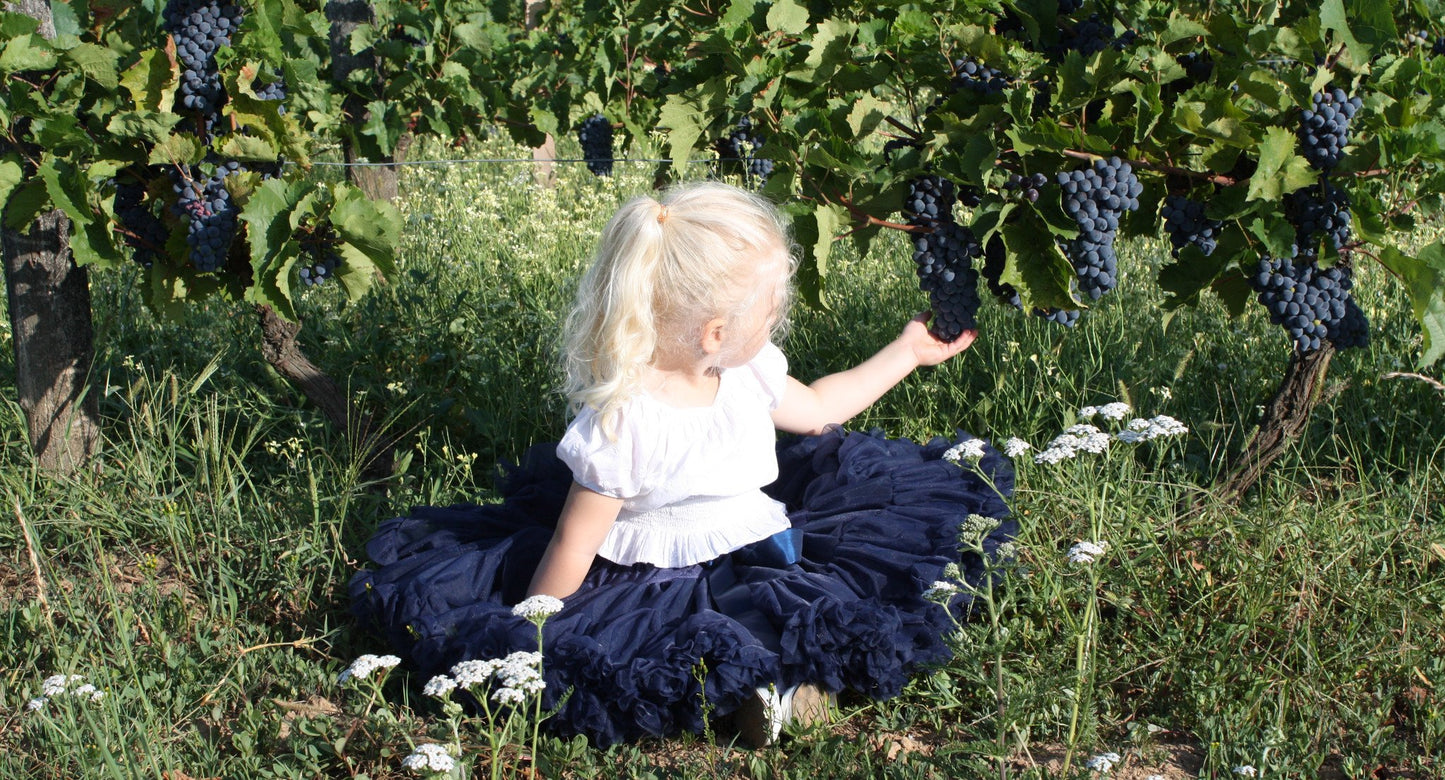 DOLLY by Le Petit Tom ® SNOW QUEEN pettiskirt dark blue navy