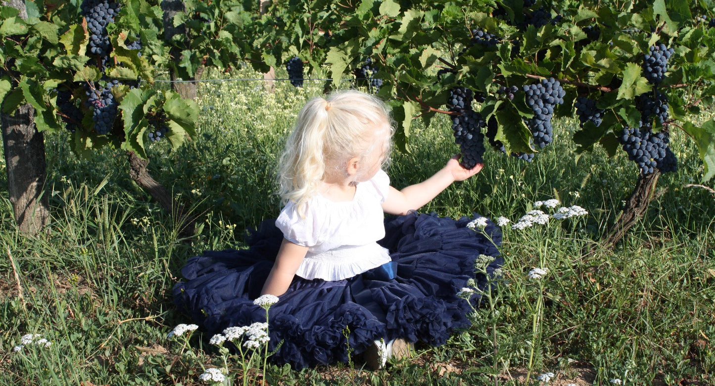 DOLLY by Le Petit Tom ® SNOW QUEEN pettiskirt azul oscuro azul marino